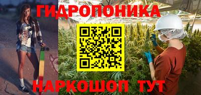 СК Донской
