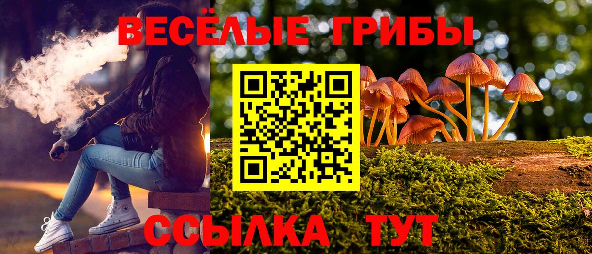 Галлюциногенные грибы GOLDEN TEACHER Менделеевск